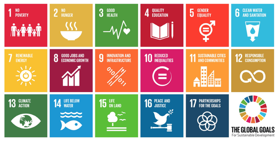 Seventeen global goals for sustainable development.