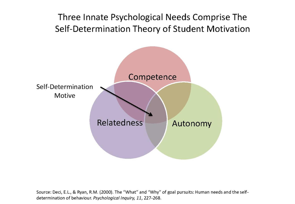 Three innate psychological needs comprise the self-determination theory of student motivation.